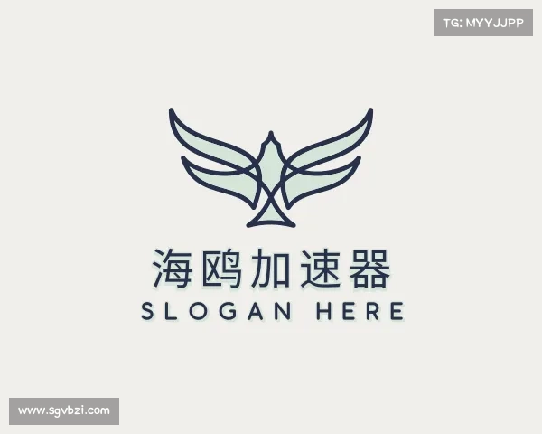 介绍海鸥加速器