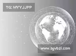 海鸥加速器永久免费版的特点——提升安全管理,轻松掌握权限,让您无忧应对各种信息挑战!